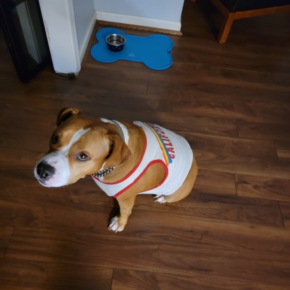 Meet your Posher, Latoya - Picture 8 of 15